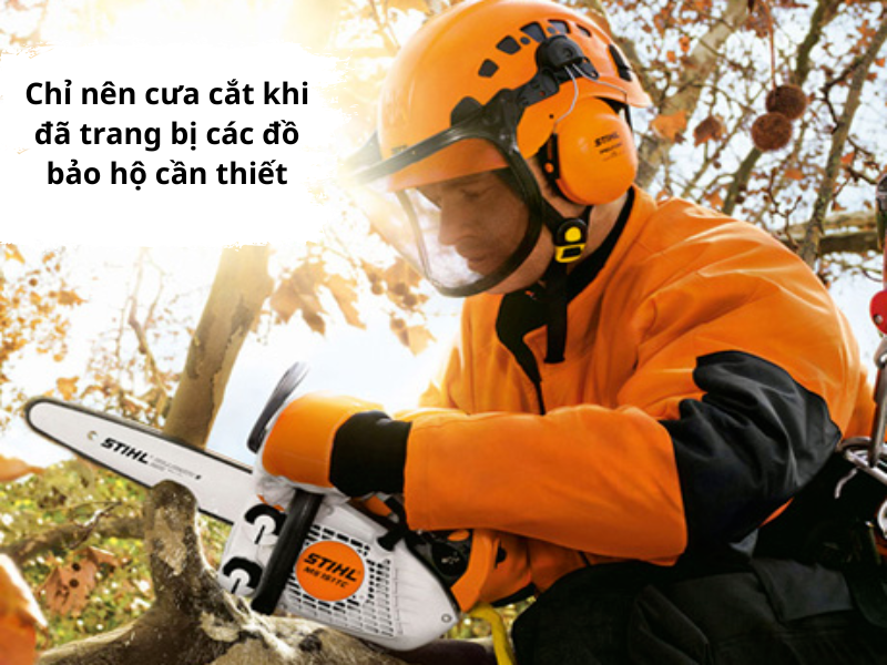 Chỉ nên cưa cắt khi đã trang bị các đồ bảo hộ cần thiết